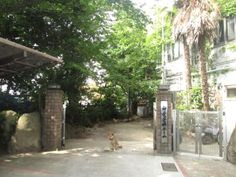 p_shinaikodomohome.jpg